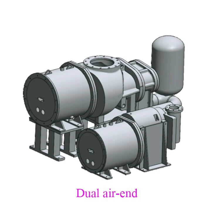 Dual air-end