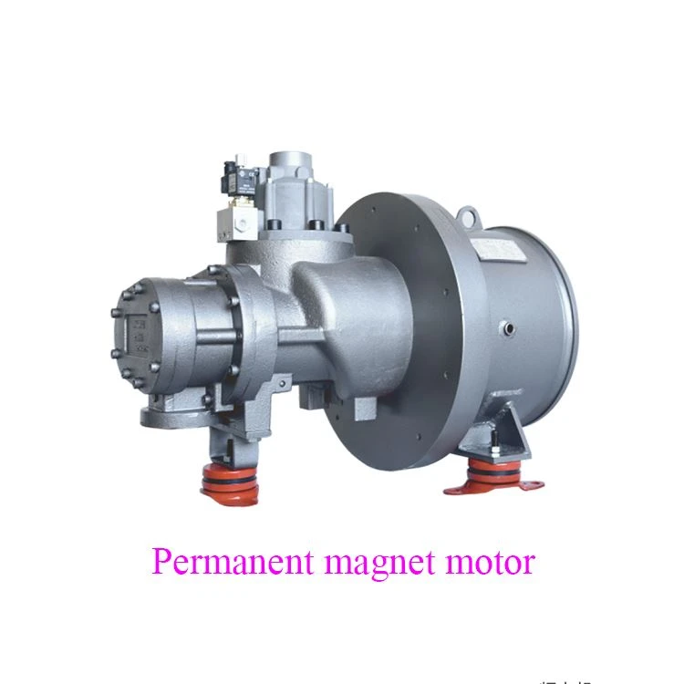 permanent magnet motor.jpg